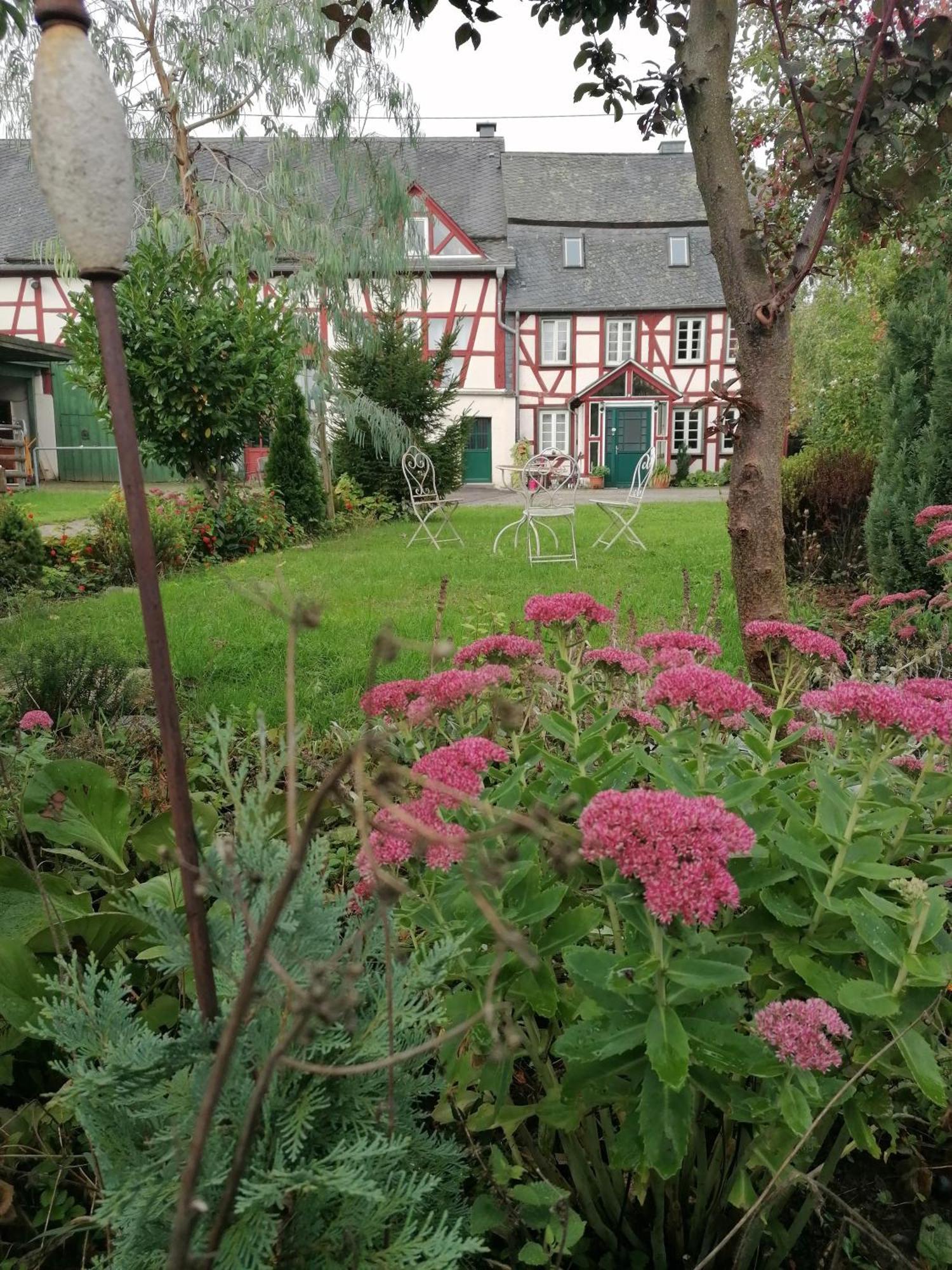 Hof Idarwald Apartment Horbruch Exterior foto